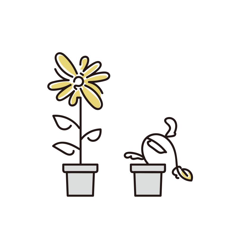 咲く花と枯れる花のイラスト