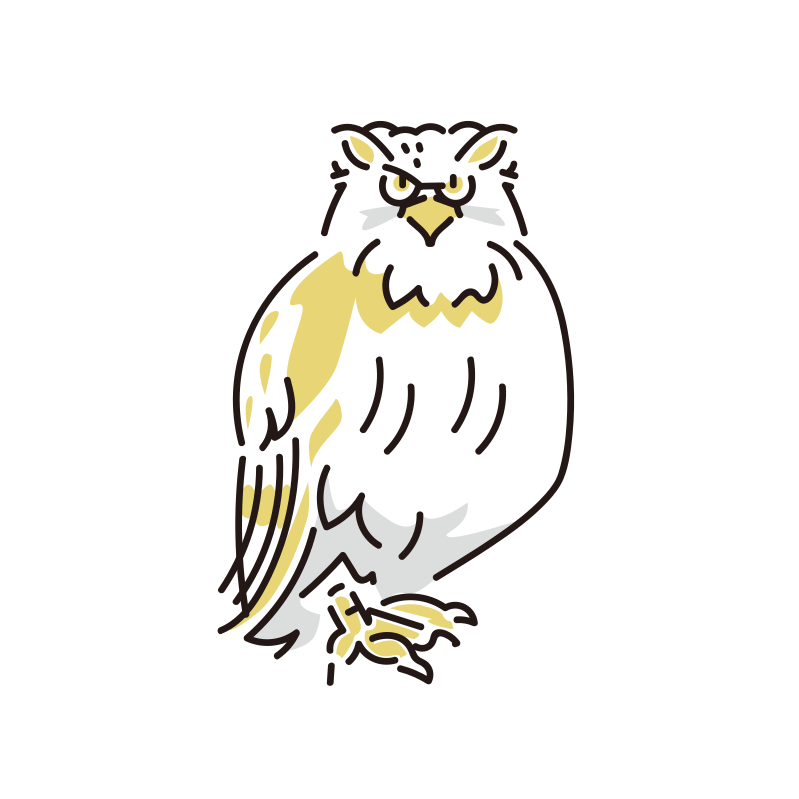 シマフクロウのイラスト