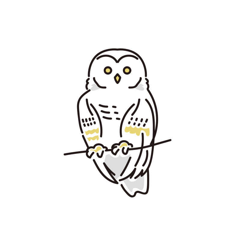 エゾフクロウのイラスト