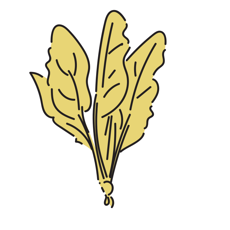 こまつなのイラスト Loose Drawing