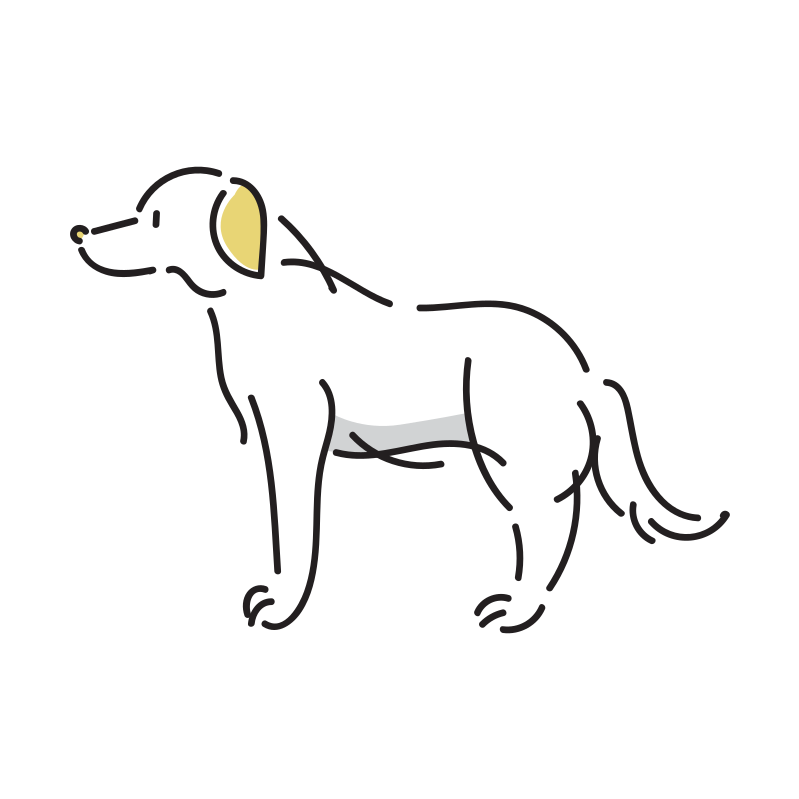 横を向いた犬のイラスト Loose Drawing