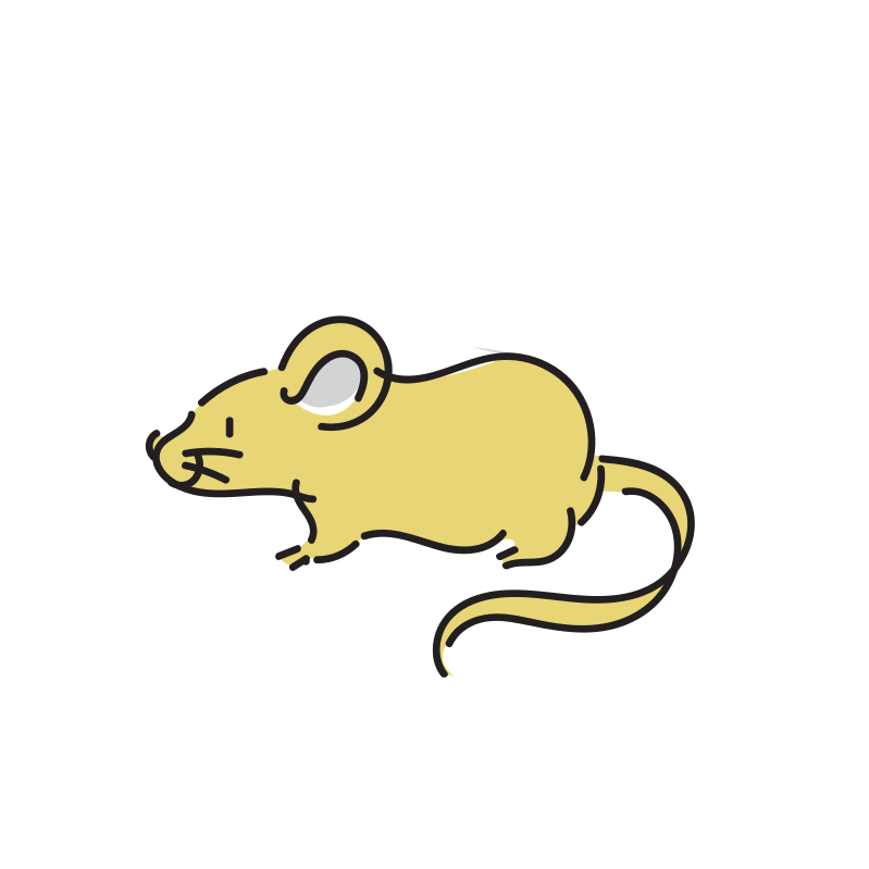 ネズミのイラスト Loose Drawing