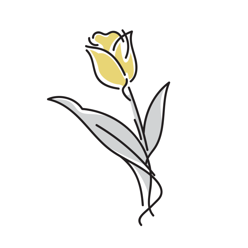 チューリップのイラスト 植物 花 Loose Drawing 無料で商用利用可なフリーイラスト