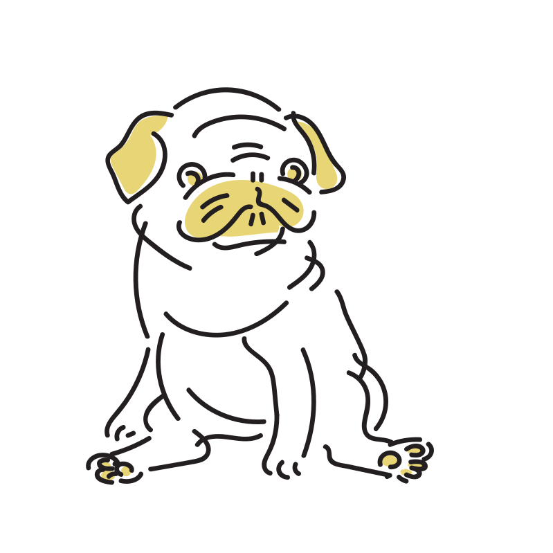 座る犬のイラスト パグ Loose Drawing 無料で商用利用可なフリーイラスト