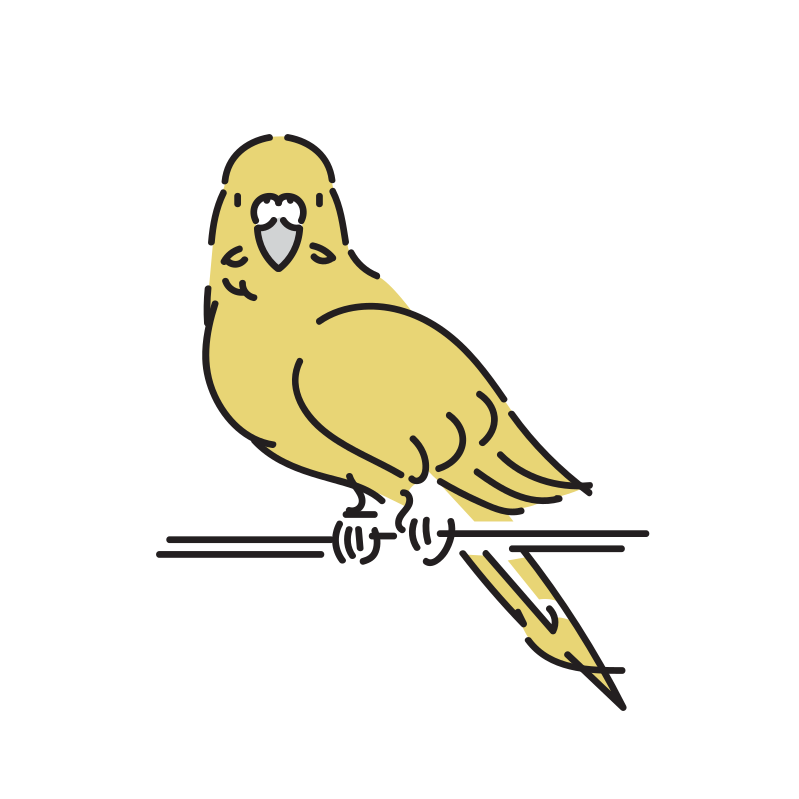 鳥のイラスト インコ Loose Drawing 無料で商用利用可なフリーイラスト