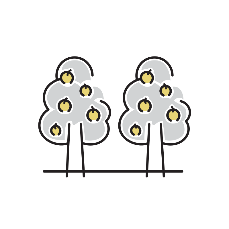 果樹のイラスト Loose Drawing 無料で商用利用可なフリーイラスト 果樹のイラスト Loose Drawing 無料で商用利用可なフリーイラスト