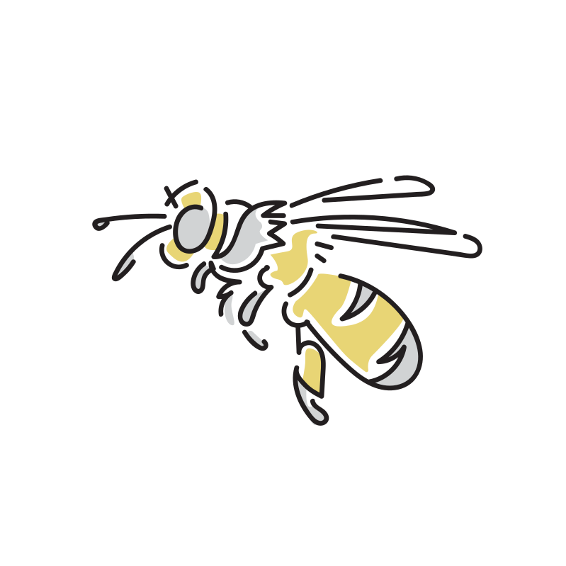 蜂のイラスト Loose Drawing 無料で商用利用可なフリーイラスト