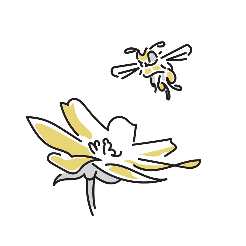 蜂と花のイラスト Loose Drawing 無料で商用利用可なフリーイラスト