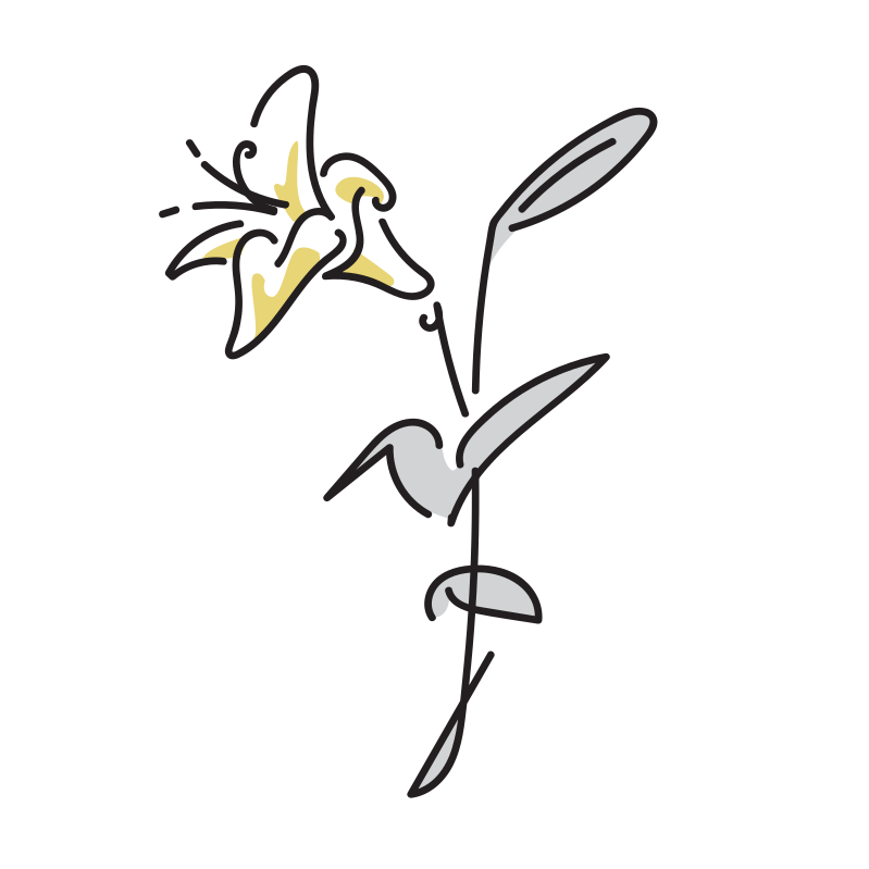 フラワーアレンジメントのイラスト バスケット Loose Drawing 無料で商用利用可なフリーイラスト